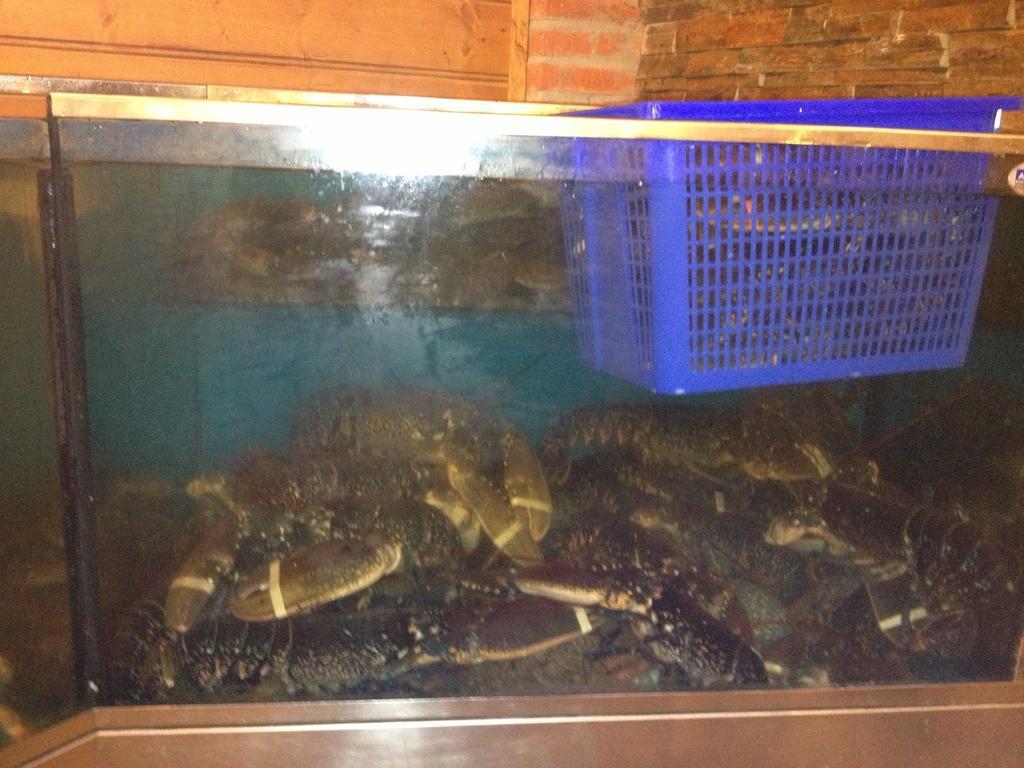 Hosteria San Emeterio Isla Plana Kültér fotó