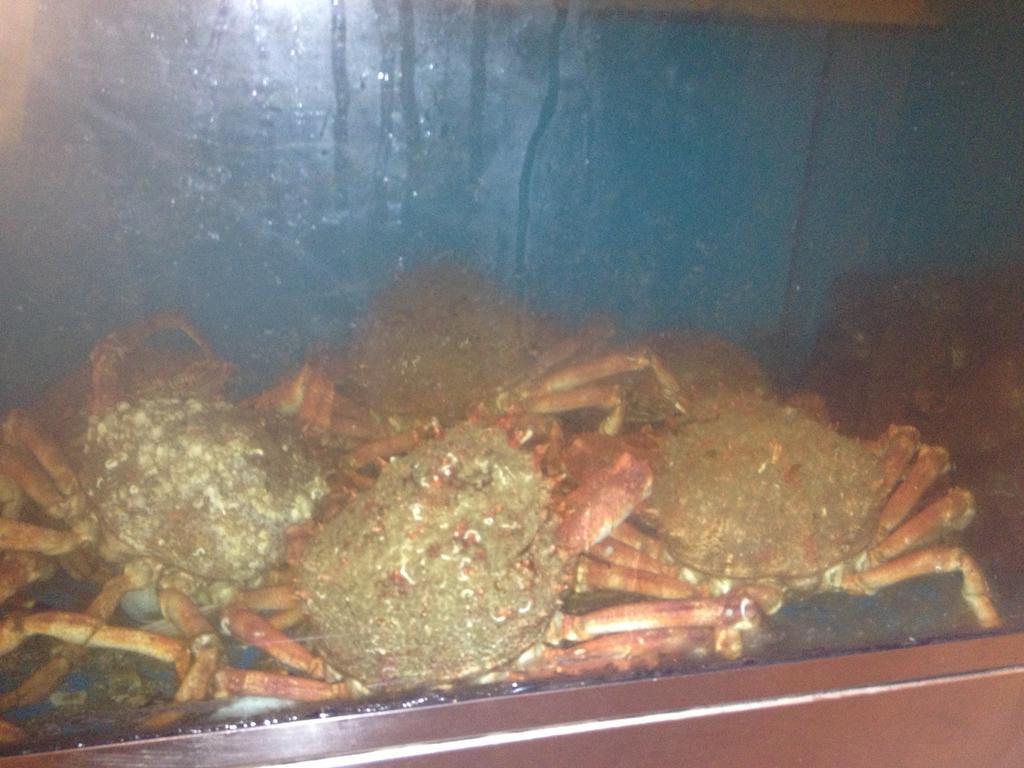 Hosteria San Emeterio Isla Plana Kültér fotó